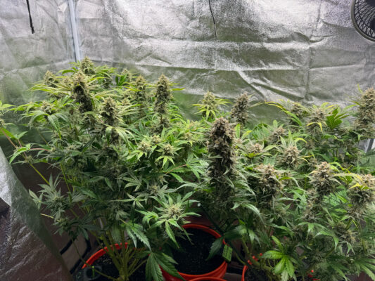 3752EA4C-8289-4721-B1BC-53F2C6FB801F