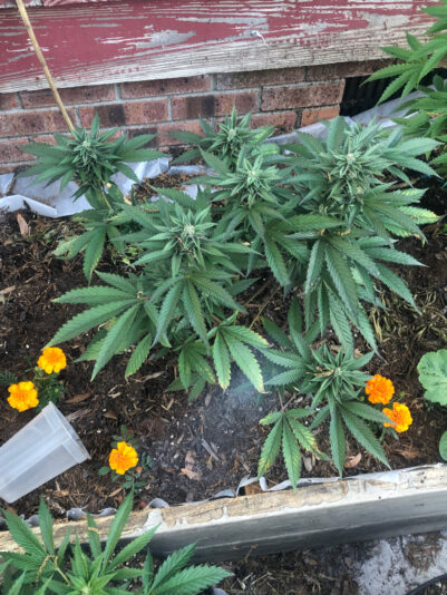 3E647A9A-2293-4079-9056-A35932DD4C76