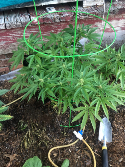 4E1FEA46-ABF5-45D9-9F93-37502FBF2860