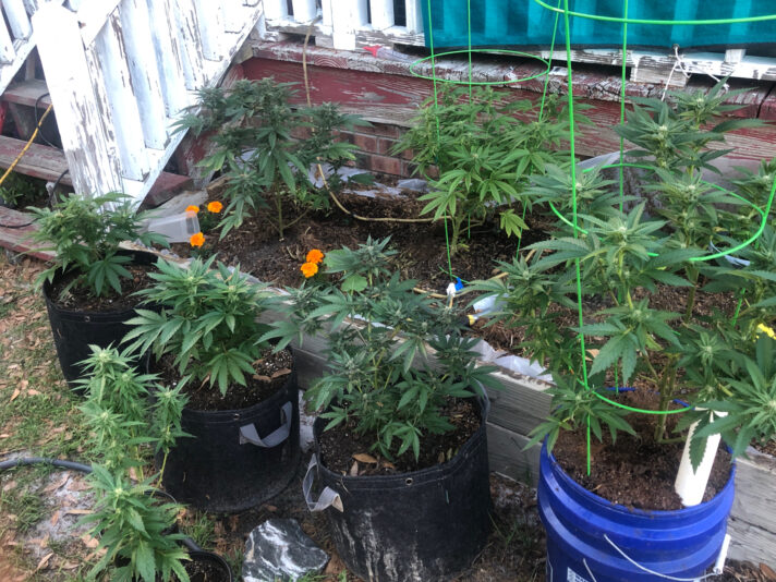 5F6B7487-8D79-4133-AB40-F52DC303B665