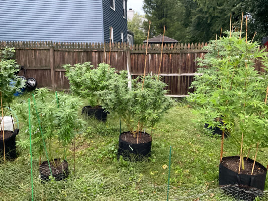 67C01164-0469-4237-AC56-22114137147D