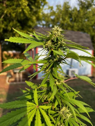 D4964BEC-ACDE-4087-9202-EC2382E8A699