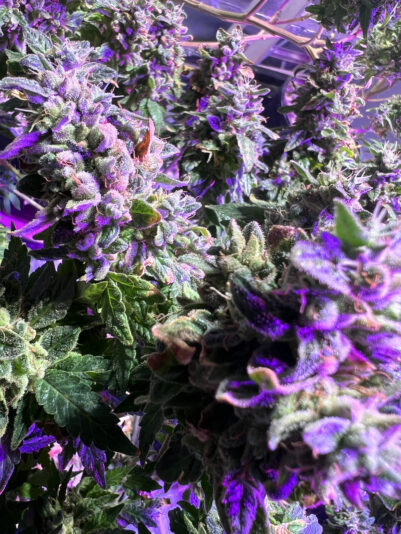 1A6B9B35-4CE3-48D0-89BC-0469148742AD