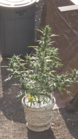 b703aaee-0cf4-4e25-8bd2-76d62fb99f5a