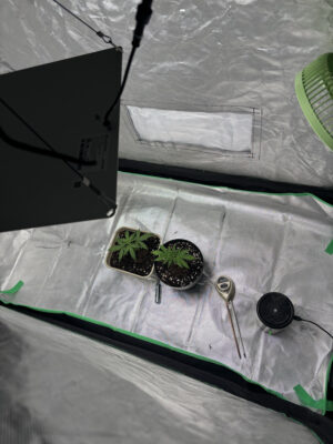 3260972B-933B-47D7-B736-63DD1F033DB9