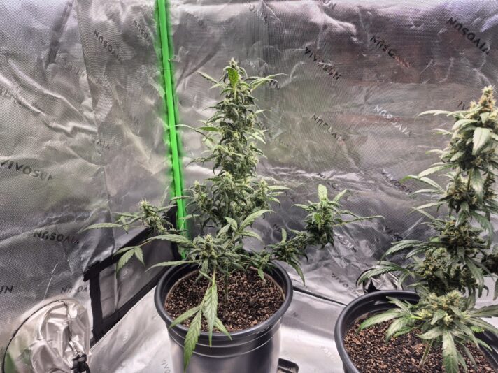 3cfd130b-7a75-45e9-91b3-a63d86634287