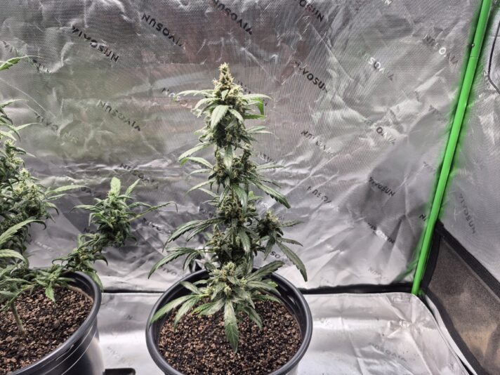 c2783188-e0e6-4bfe-95e0-98e642f3a0d6