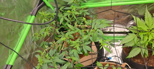 01734295-b2c1-4283-9e0f-9980e1e90014