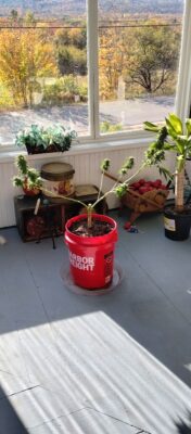 9c596712-896f-4008-bf55-a337e6af2dbe