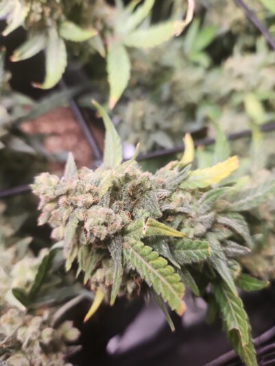 a762ab7b-7bba-471e-9403-f7dbcc40def4