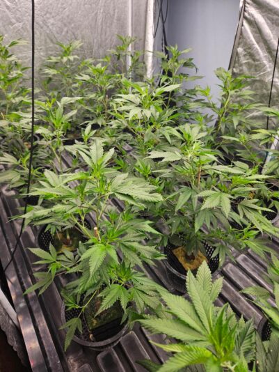 signal-2025-10-16-18-10-21-659