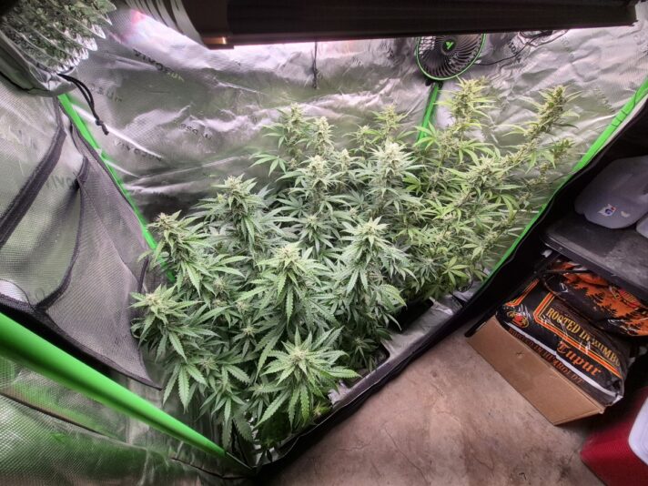 18fab1b7-19e9-44ca-95a0-622724813925