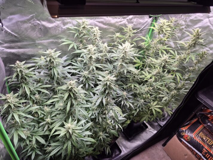 763b0e0d-5e65-4473-ad32-c44dfc2dfa18