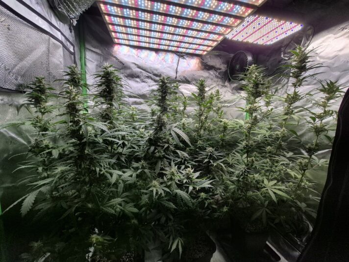 9335135a-d515-4914-bfa8-31176e8f3d93