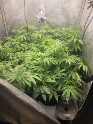 84cc6ca6-86c0-4ce8-8a04-7cb52312d2f7