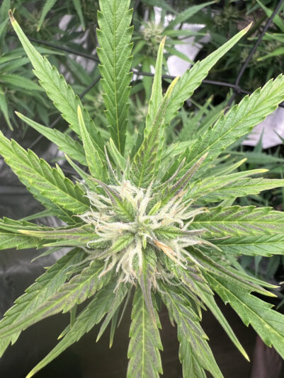 C79458CA-E958-46DB-95B2-E47283C7C44D