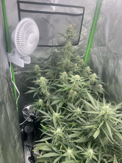 303DA344-776E-42D0-B960-0D67CA8E4C1B