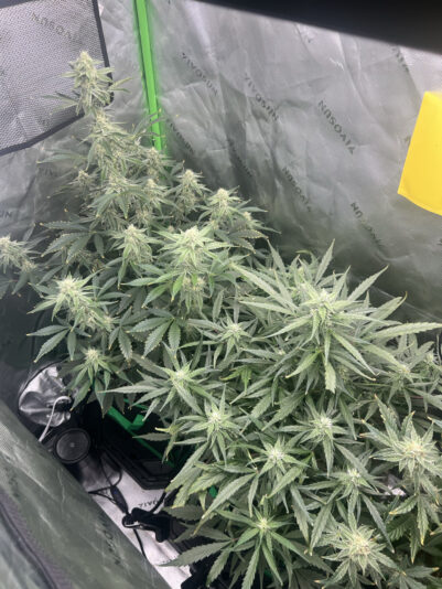 EEDB1357-0495-433D-A22D-D391D432F514