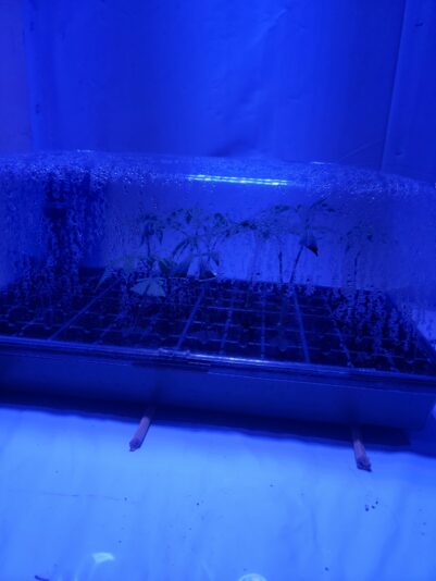 f0a53421-340b-412a-bc84-b29f109bab66