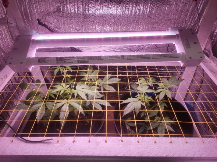 082d995f-18f5-42bd-93bf-2ff50665b156