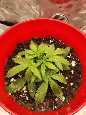 b7e767b3-e7ba-4a0f-a8ca-722f65cd9d38