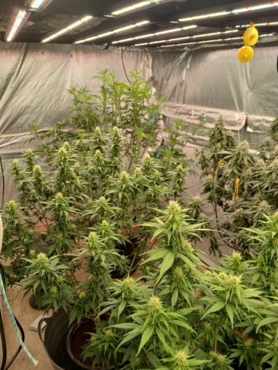 e46bd89e-48c7-4fbf-93e7-c7e028b0b6a9