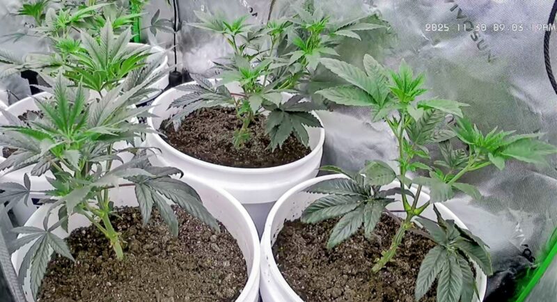 2ce9cd29-8529-43cf-9993-ea535aced0d3