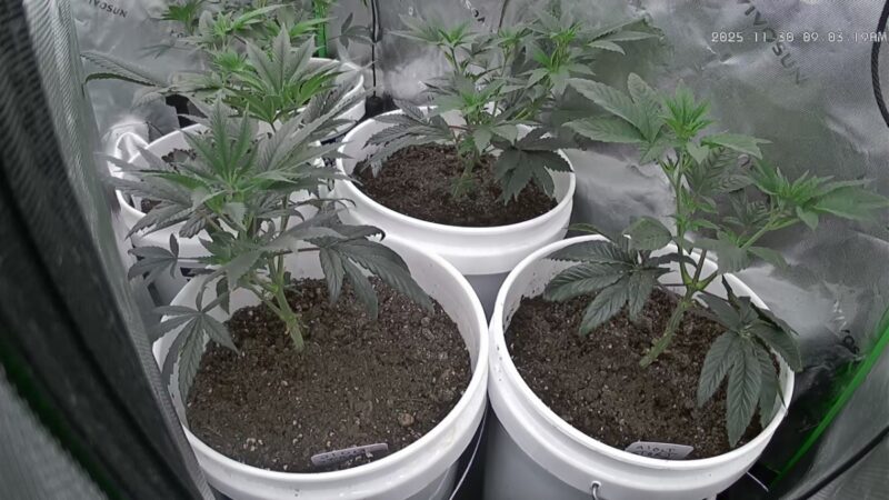 7873cb63-2e65-4037-a25c-23a7798386b6