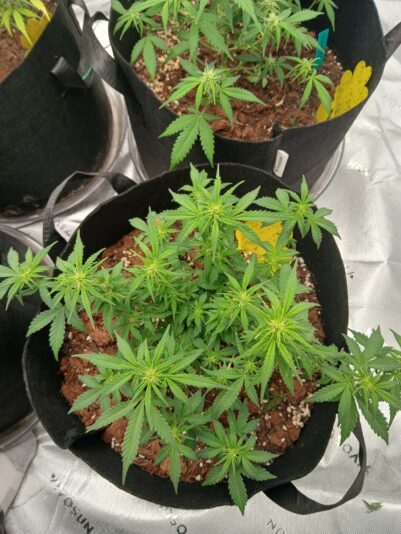 6f816116-aac6-44a2-8da4-3230492bb80e