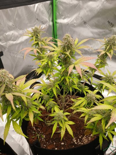 7f609454-3e6d-427e-82fb-e2dbe9afff62