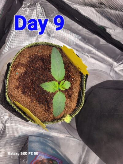 ca171e67-b095-463c-a40a-bd5348a3d79f