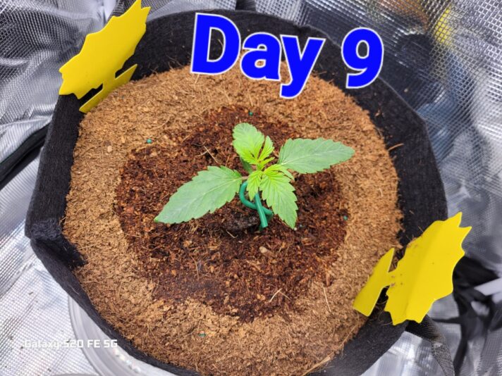 7e1871a1-1e11-4140-b519-c34a95cf71b8