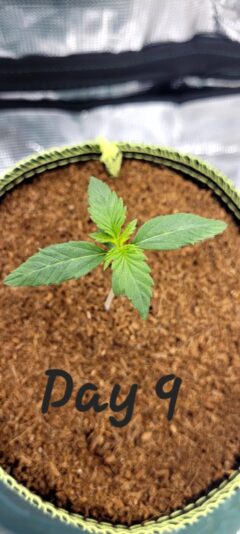 df364812-8724-42fe-b25c-cb3393e302f3