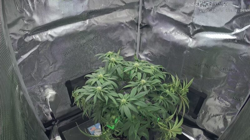 6e28ed05-735a-4d3d-9275-71a38162946d