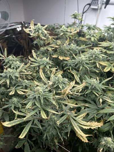 6862DCB5-A9A2-41C7-ABD4-7596B3CA27C9