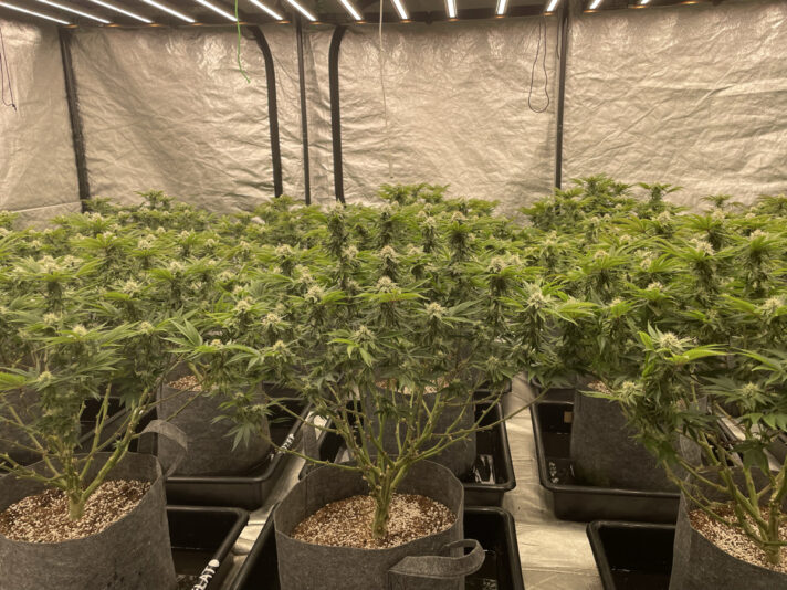 583841BF-DBBC-4CCE-8514-7A0BECCF7C73