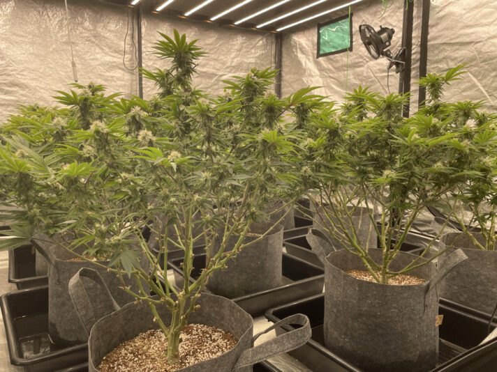 2891D808-0DCE-496A-B54B-EF702F5A6CD3