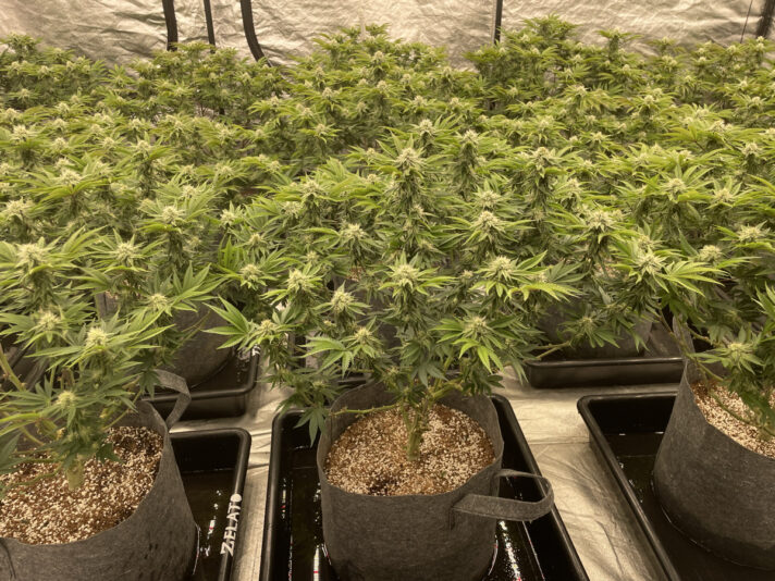 848EB2B3-ABC2-40A0-ADE0-39FB974D9F72