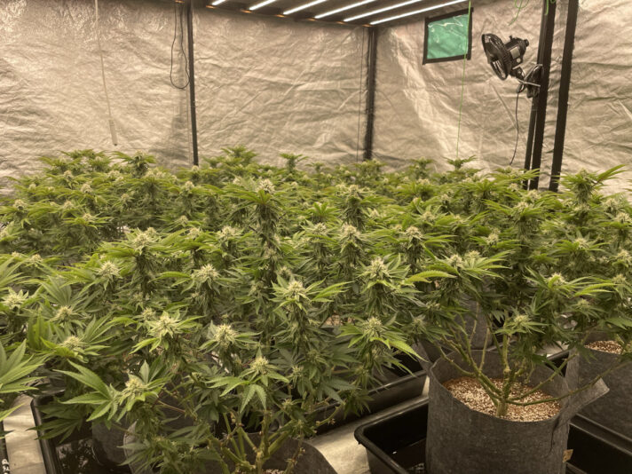 D7156FEB-8A61-4CFD-B804-908A081D4E82