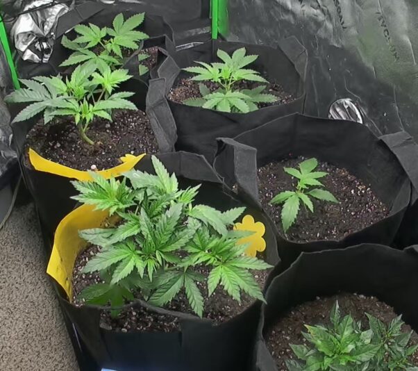 7b344808-f34d-4d70-a580-508dbbd5d378