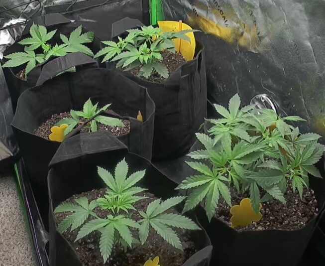 8a460f86-dbfe-47e0-b9e4-3886b8062a09