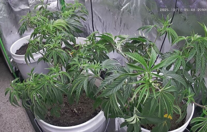 4876eb30-1a09-4ad7-aaa0-866dbad69a17