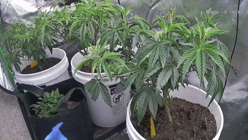 add0f296-40f6-4d69-975f-48ddad98a528