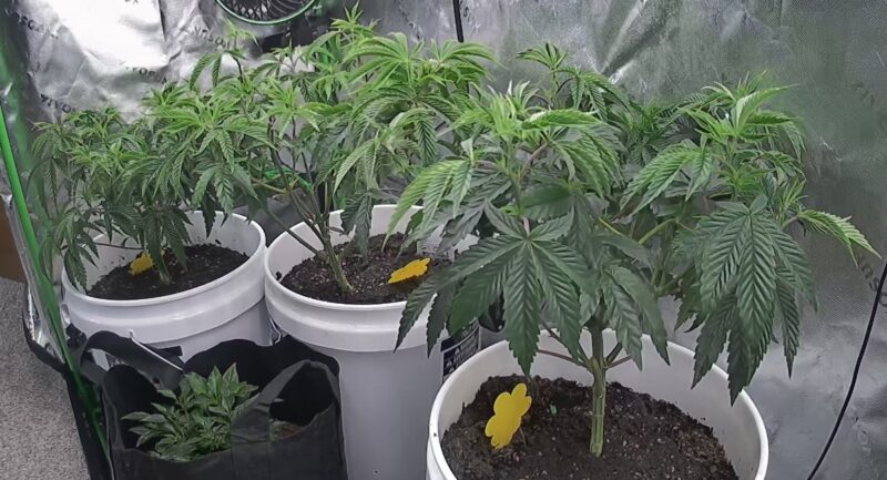 c200162e-65a1-4948-a88f-51c60844a79a