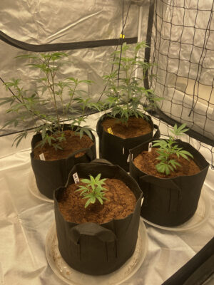 5962C8CD-21EC-4003-A065-1A2E9696CDF1