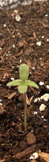 877701D6-1F03-41FB-AF96-C1AA321B2913