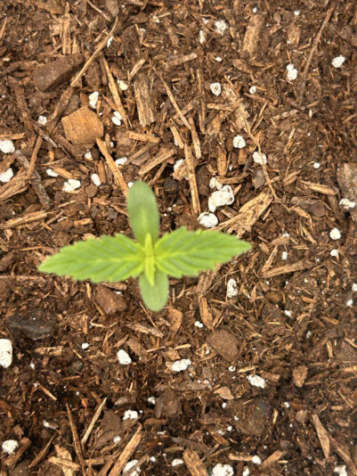 C042F5AA-51DE-407A-9104-F7B1EEBAFD42