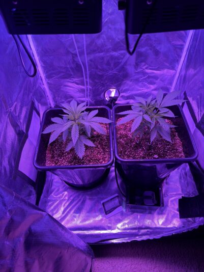 IMG_22B5789A-9EDF-463D-B583-98BAE71ED934