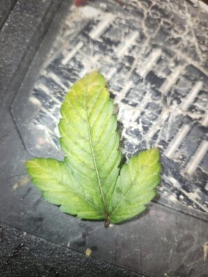 e8870cef-b780-422d-ac00-60bc1d382844