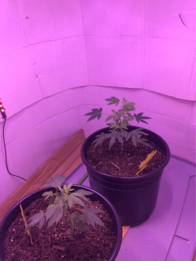 6BAC5527-E954-40A0-954A-2F9CD7B89E78